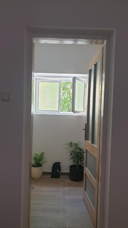 Casa Arion Apartment Baile Herculane Exterior photo