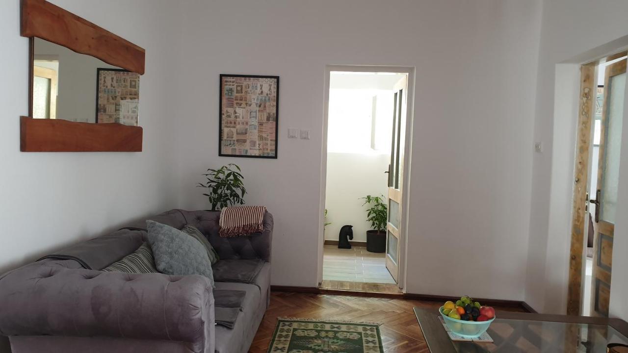 Casa Arion Apartment Baile Herculane Exterior photo