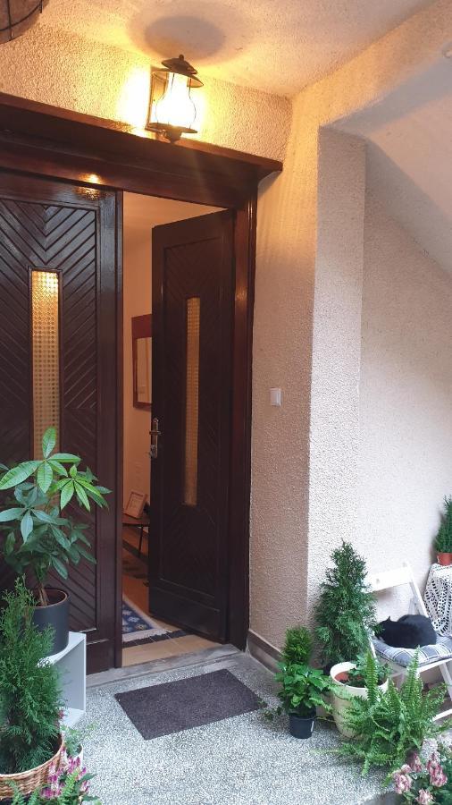 Casa Arion Apartment Baile Herculane Exterior photo